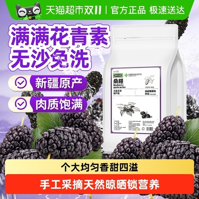 新疆大粒桑椹无沙免洗肉质饱满