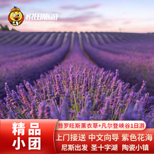 【中文】普罗旺斯一日游