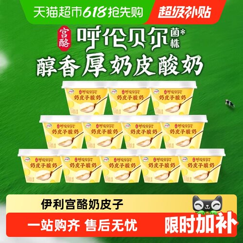 伊利奶皮子酸奶低温冷藏发酵乳