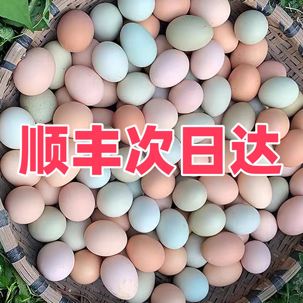 顺丰包邮农家散养正宗土鸡蛋自由觅食放养绿壳乌鸡蛋混合装20枚