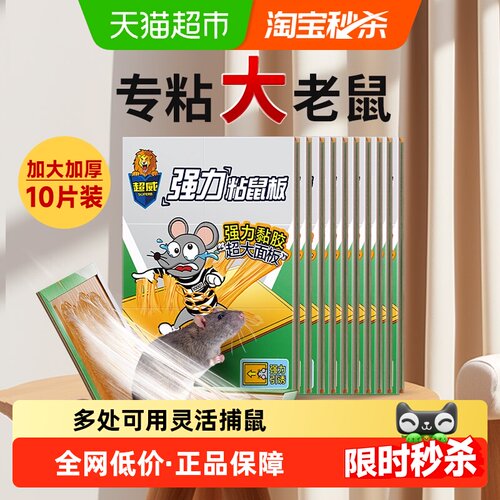 超威强力粘鼠板一触即粘10张