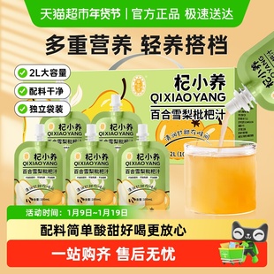 宁安堡杞小养百合雪梨枇杷汁果汁多重营养健康果汁饮料水果饮品