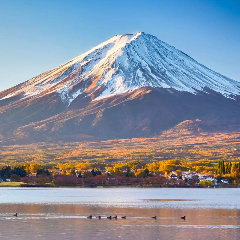 日本·商务签证·北京送签·日本签证商务签证单次多次赴日签出差加急简化北京上海