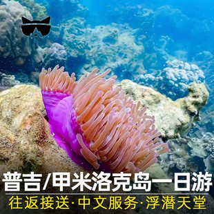 懒猫旅行 洛克岛一日游普吉岛甲米出海兰塔Rok哈岛浮潜水泰国
