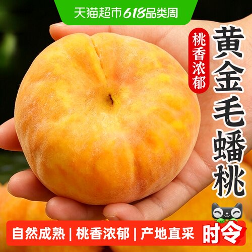 孙悟空陕西黄金毛蟠桃甜蜜多汁