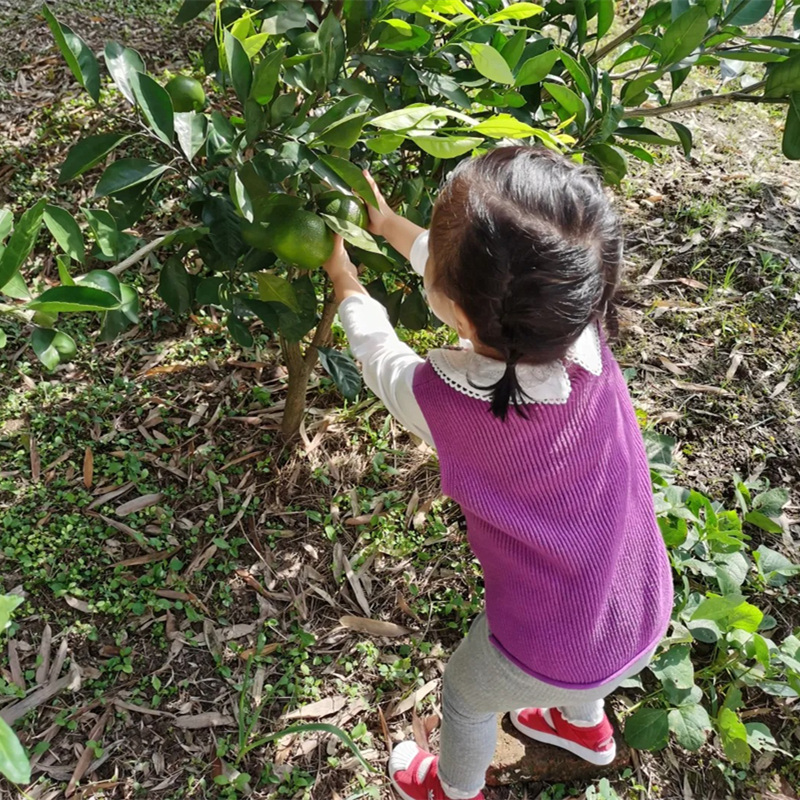 全国第15城丨火爆北上广的水果护照来南京了！ 全市27家果园通用！带你用最少的钱玩转四季采摘！