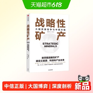 战略性矿产 大国资源竞争与中国方略 迈向先进材料强国产业变革