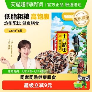 十月稻田三色糙米 含黑米红米糙米 五谷杂粮糙米饭
