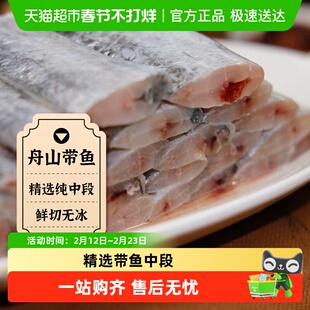拾鲜生东海冷冻无冰特级精选带鱼中段新鲜二去小眼带鱼海鱼