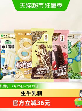 蒙牛随变经典冰淇淋组合装