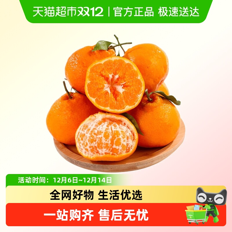 四川春见耙耙柑果肉饱满无籽清甜多汁超润喉应季鲜货