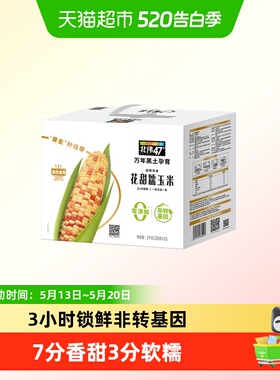 北纬47°花甜糯玉米200克*10穗东北苞米棒万年黑土绿色食品糯玉米