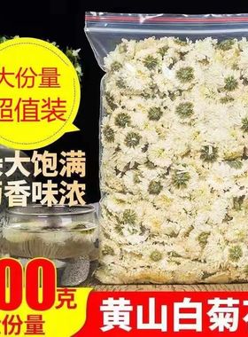 正宗黄山贡菊特级白菊花清热去火50g-500g散装批发菊花茶