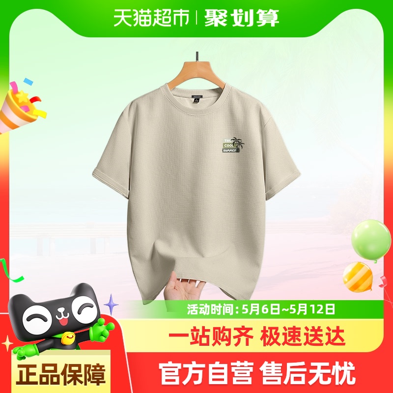 ά˹ذ260GTļ¿Ĩ̳ins