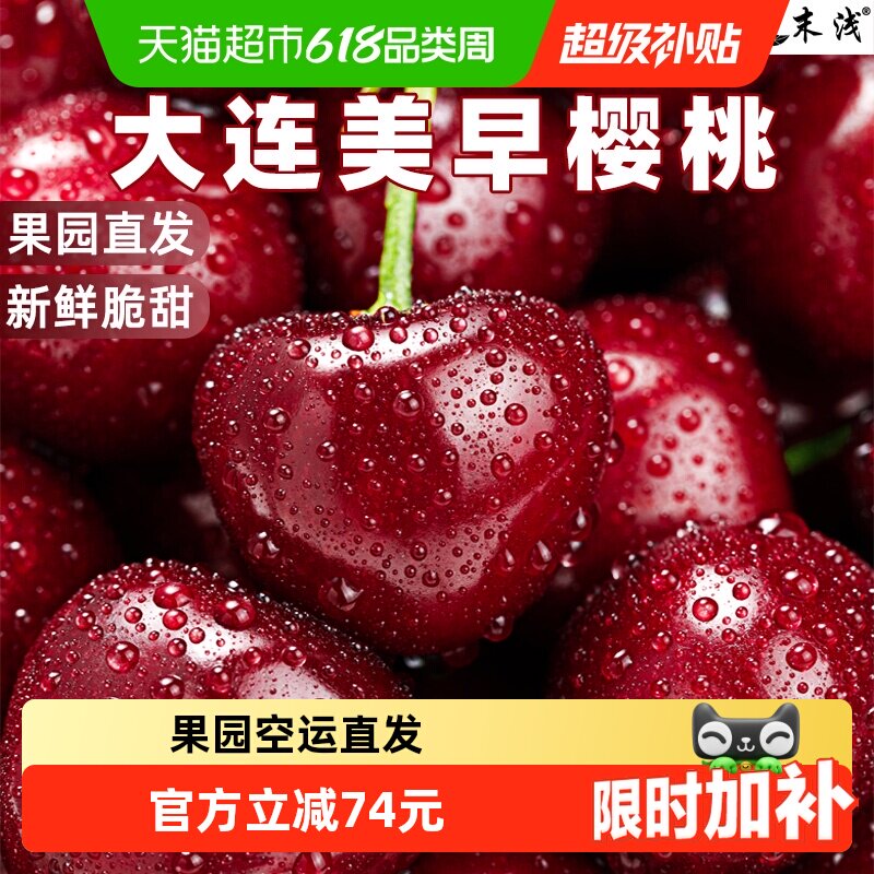 末浅大连美早大樱桃新鲜应季现摘