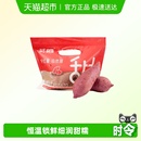 52度良作红薯正宗沙地蜜薯新鲜黄心地瓜香甜山芋番薯尝鲜装