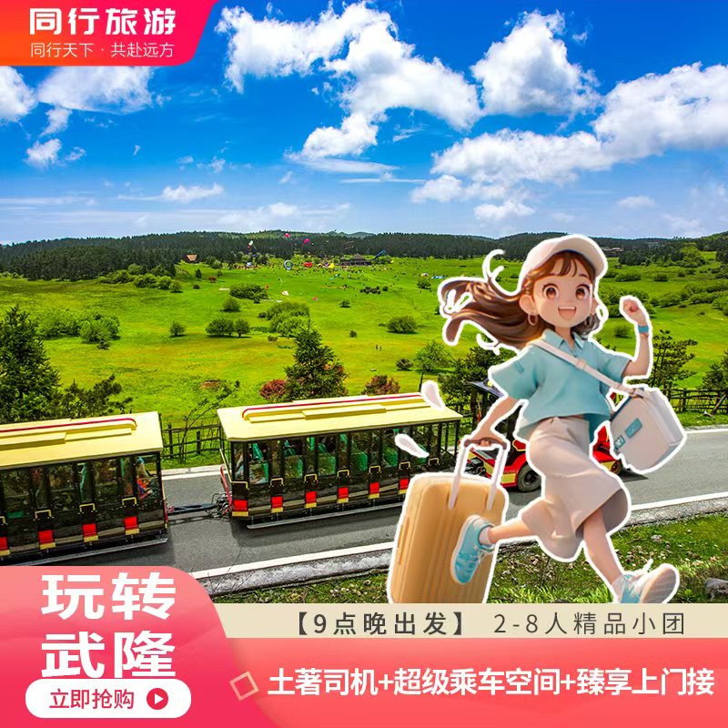 重庆武隆一日游纯玩天生三桥龙水峡地缝仙女山天坑地缝小团跟团游