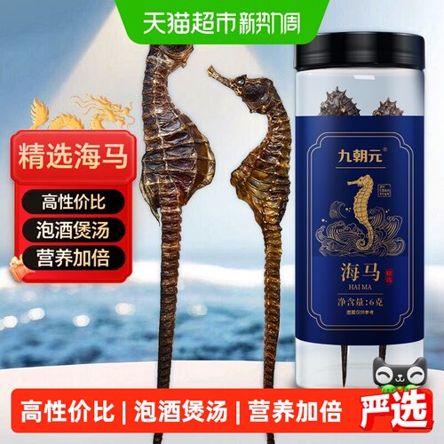 九朝元膨腹海马一对6g