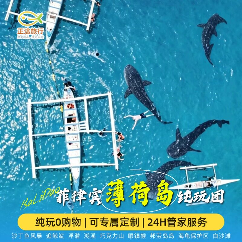 【含机票免签纯玩】菲律宾薄荷岛旅游6天5晚巴里卡萨浮潜鲸鲨同游