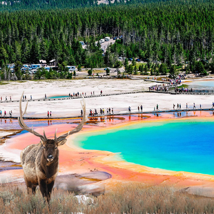 【13人团丹佛进 豪华火车】美国旅游黄石公园盐湖城7天6晚团日游