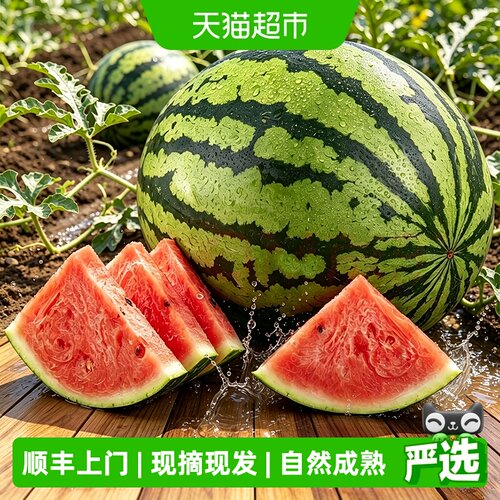 我有果果无籽麒麟西瓜