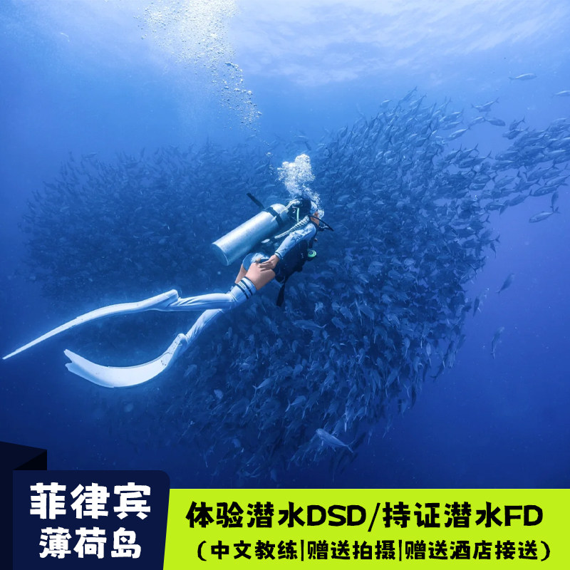 菲律宾薄荷岛纳帕林浮潜或体验潜水英文司机中文教练含接送