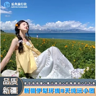 1+1豪华头等舱|新疆伊犁旅游跟团夏塔恰西独库那拉提赛湖8天小团