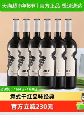 意大利DILE天使之手巴贝拉&赤霞珠干红葡萄酒750ml*6原瓶进口