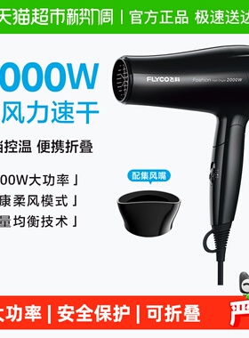飞科电吹风机家用大功率可折叠宿舍不伤发速干电吹风筒FH6231