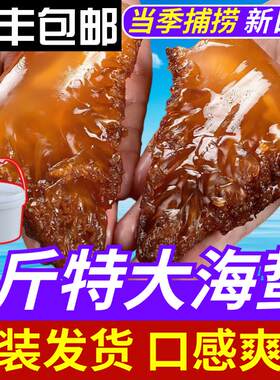 海蛰海蜇头5斤桶装海蜇野生海蜇头商用海哲头非即食凉拌爽脆无沙