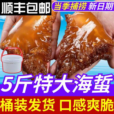 海蛰海蜇头5斤桶装海蜇野生海蜇头商用海哲头非即食凉拌爽脆无沙