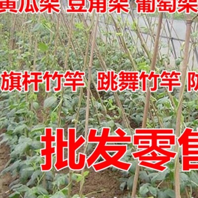 竹竿菜园搭架黄瓜架杆庭院家用豆角爬藤架篱笆栅栏户外种菜竹子杆