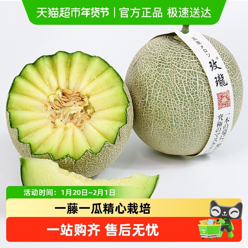 正宗玫珑网纹瓜一藤一瓜软糯多汁新鲜当季送礼当季水果非哈密,水产肉类/新鲜蔬果/熟食,甜瓜,淘宝优惠券,粉丝福利购,淘宝优惠卷