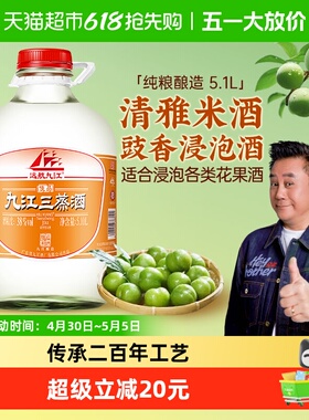 广东九江双蒸白酒粮食酒38度豉香型自酿青梅果酒酒水