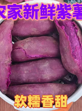 2025正宗新鲜现挖粗粮紫薯紫皮番薯营养农家自种地瓜紫薯批发