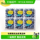 秘鲁Driscoll 怡颗莓蓝莓新鲜水果 下拉详情领优惠