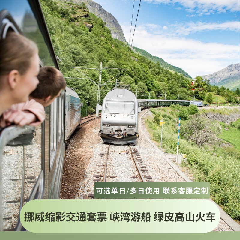TOP挪威缩影路线组合交通票 松恩峡湾纳柔依游船+弗洛姆高山火车