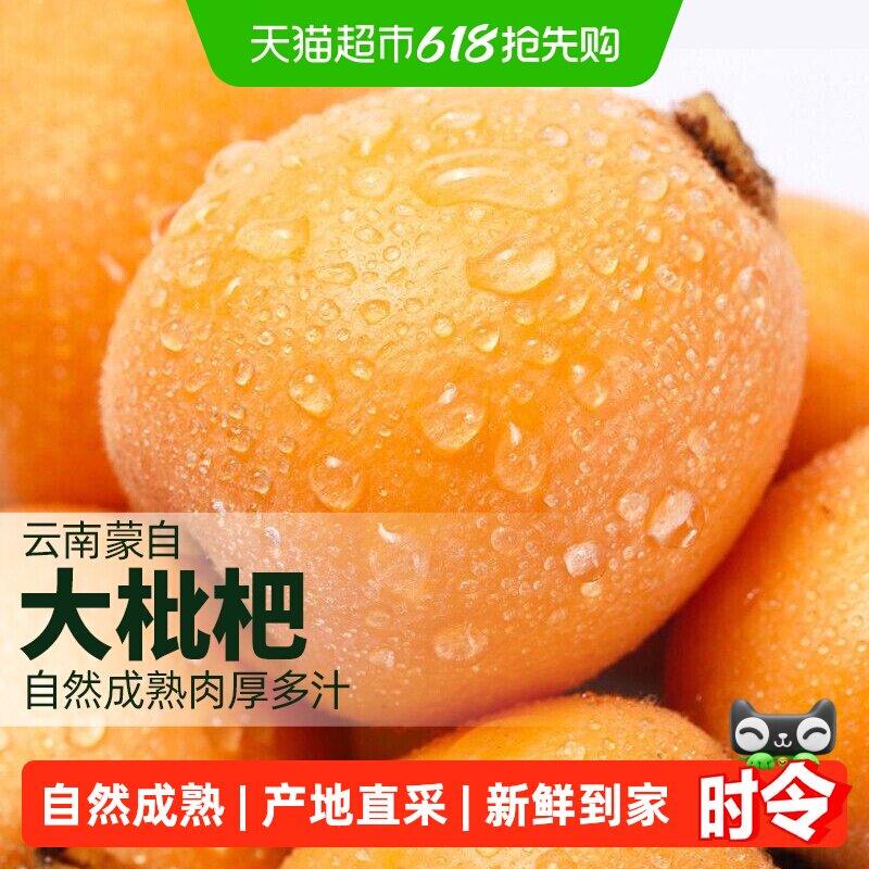 柠满园正宗云南蒙自大枇杷大果鲜果新鲜水果琵琶大五星产地直供