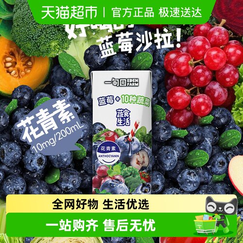 一甸园蓝莓味果蔬汁