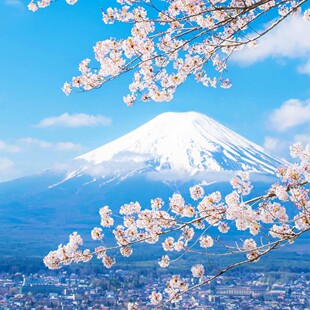 日本·五年多次旅游签证·广州送签·【深圳国旅】简化加急领馆指定送签社深圳广州广东广西福建日本签证5年