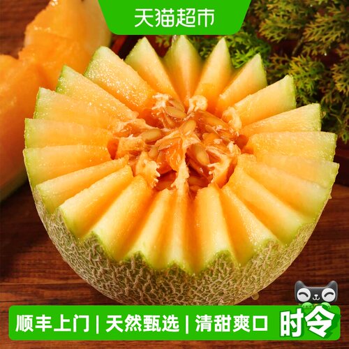 疆果甜心新疆哈密瓜甜蜜多汁