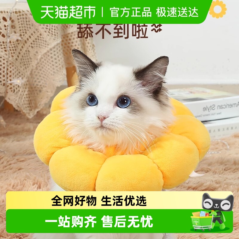 柒哦伊丽莎白圈绝育圈