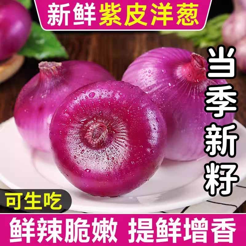 新鲜洋葱农家紫皮小洋葱甜味生吃蔬菜不辣红皮大圆葱头批发