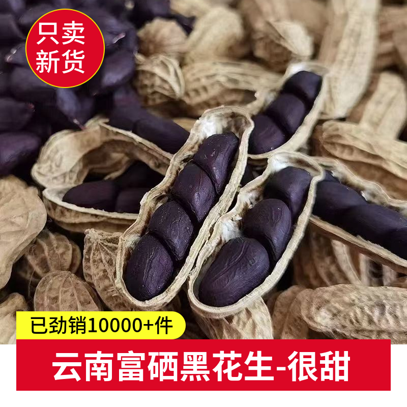 新货云南富硒黑花生带壳生晒干花生种子籽普洱特产原味黑皮花生米