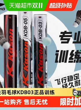 李宁凯胜羽毛球黑鸭毛训练耐打