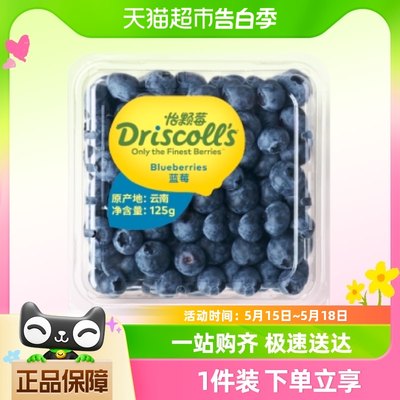 怡颗莓新鲜水果云南蓝莓125g*6/8盒中果酸甜口感