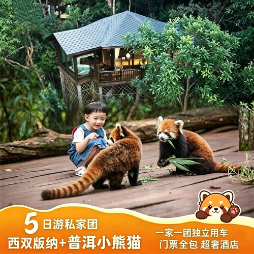 西双版纳普洱小熊猫5天