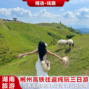 高铁广东出发郴州3日游仰天湖大草原高椅岭莽山五指峰东江湖旅游