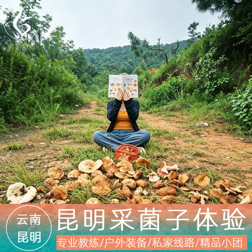 自家山林丨雨季采菌 时令限定 高端线路专属预留3 天 专属小众丨私藏路线 避开人流 沉浸式独享山林采菌野趣 空手体验丨全套采菌装备配齐 含户外意w险 + 全套应急物资，出行无忧