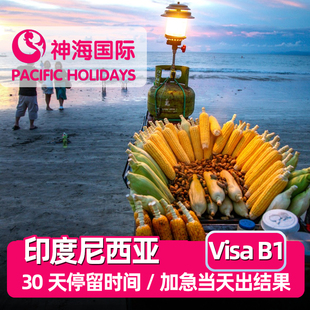 印度尼西亚·旅游签证·全国送签·拒签1赔3【最快神海15分钟出签】印尼巴厘岛电子签证·EVOA落地电子签